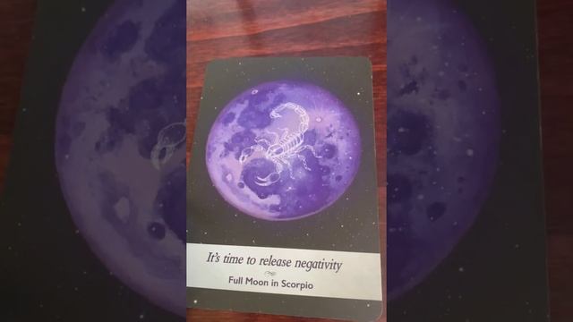 Full Moon Reading *Timeless* смотреть онлайн