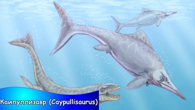 10 редких вымерших морских рептилий о существовании которых, вы скорее всего, не знали! смотреть онлайн