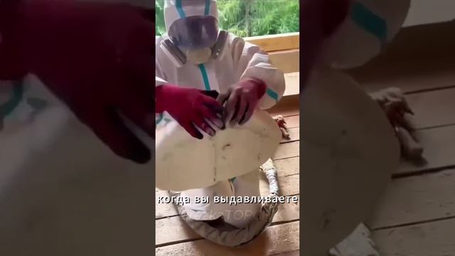 Быстрая пена