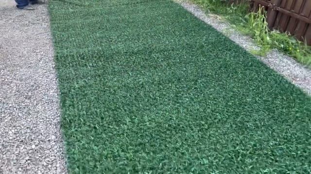 Живой забор «Калифорнийская изгородь» от Группы компаний ЛистВуд смотреть онлайн