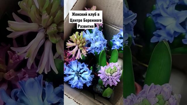 Женский клуб в Центре Бережного Развития: тëплые живые встречи, наполненные приятным общением. смотреть онлайн