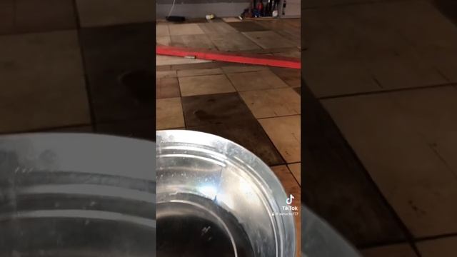 Замена антифриза Пежо 308 смотреть онлайн