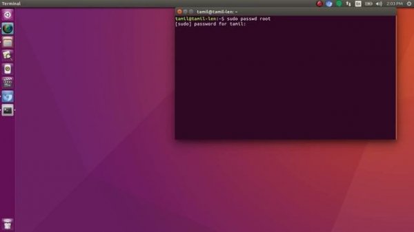 Login as root(super user) via Terminal in Ubuntu (Linux)