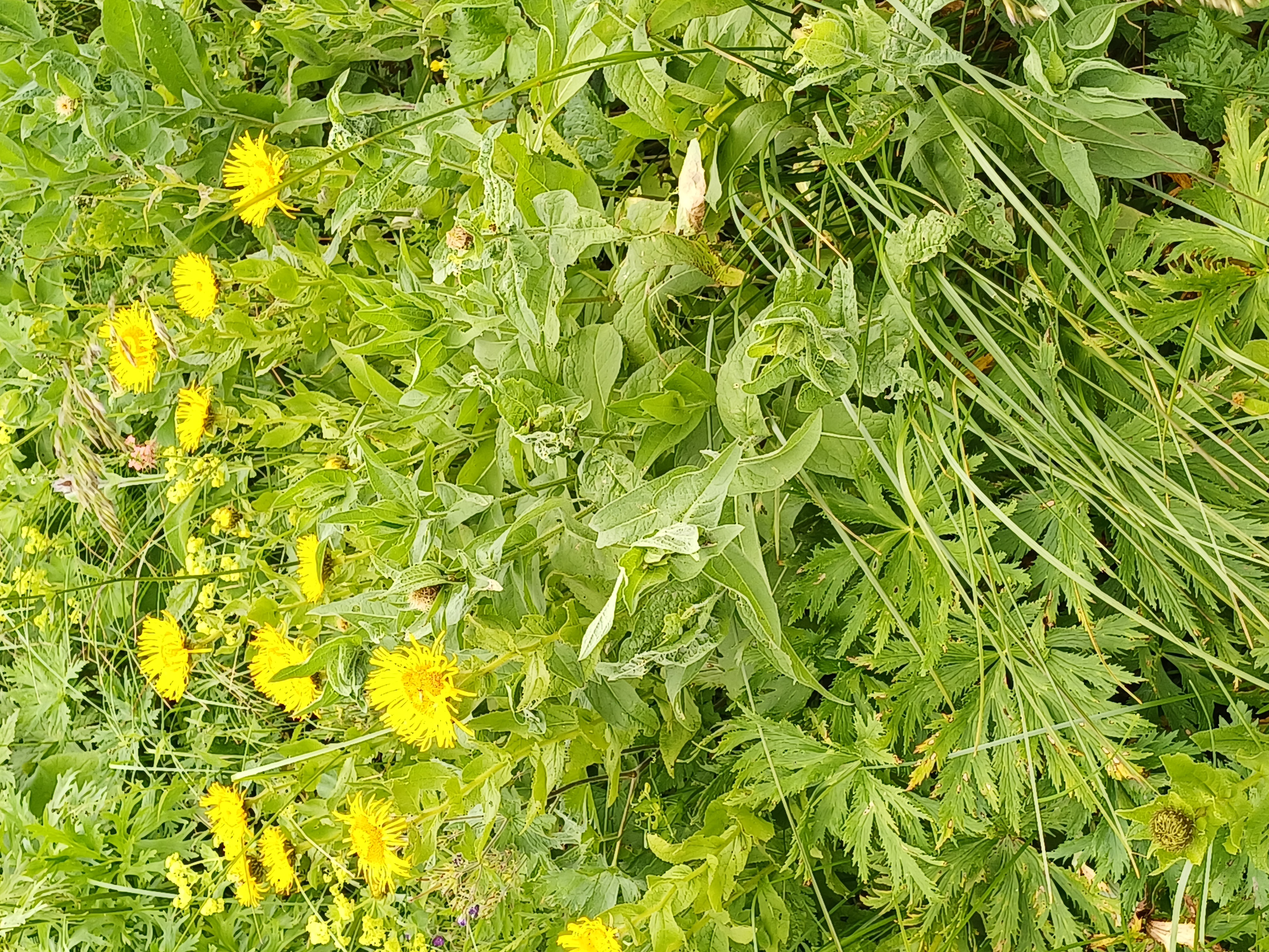 Крым, В Котором Вы Не Были! Большое Путешествие На Машине И С Рюкзаком.