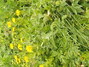 Крым, В Котором Вы Не Были! Большое Путешествие На Машине И С Рюкзаком.