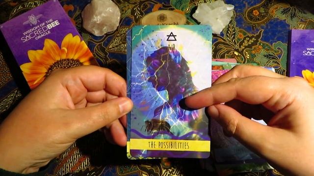 My First Impressions of the Wisdom of the Sacred Bee Oracle смотреть онлайн