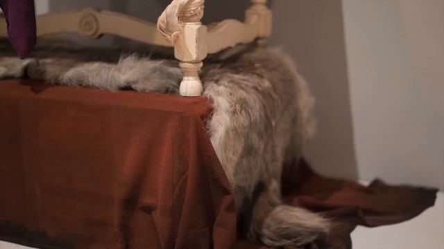 Museum Exhibition /// Robert Mapplethorpe смотреть онлайн