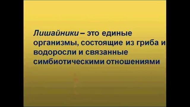 Лишайники Биология 5 класс save4 net 1 смотреть онлайн