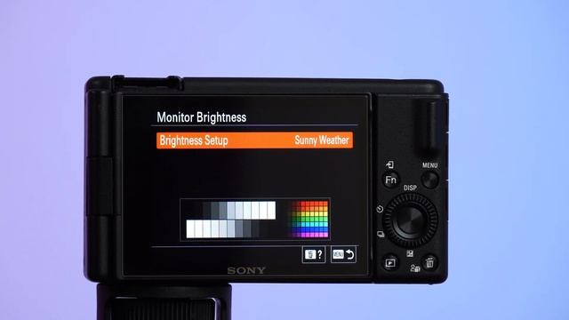 How to change inverted look on the Sony ZV1F and How to turn on the leveling смотреть онлайн