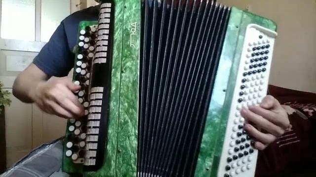 säkkijärven polkka accordion смотреть онлайн