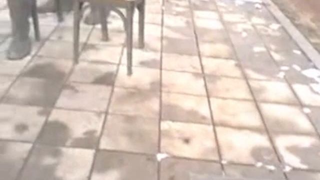 изобретатели фото смотреть онлайн