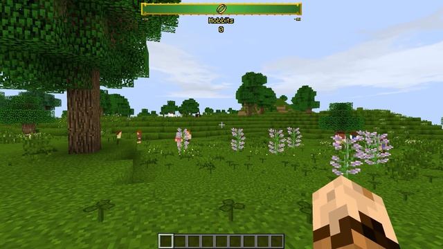 Minecraft 1.7.10 LOTR Tutorial - Installing the Shaders Mod смотреть онлайн