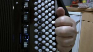 ДВА КУСОЧЕКА КОЛБАСКИ Разбор на баяне (COVER)