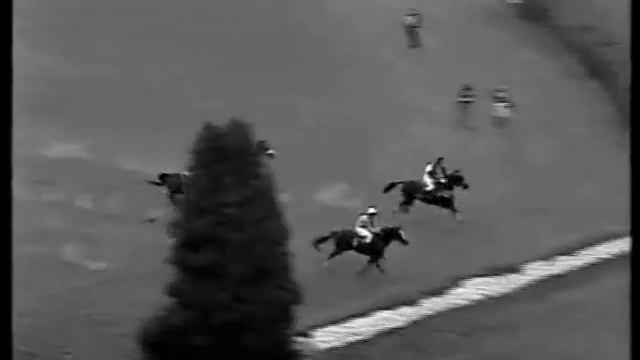 Velká Pardubická 1991 - Grand steeplechase in Pardubice.Full race - Old Taxis. смотреть онлайн
