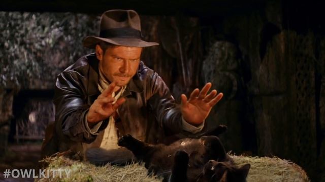Indiana Jones With My Cat