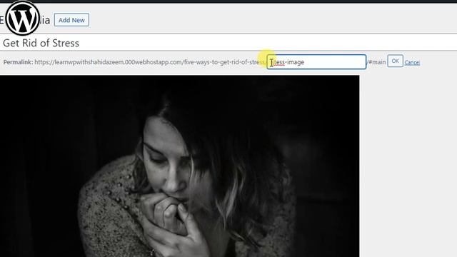 Lec 19 What is Media Library in WordPress|| WordPress Tutorial || Urdu/Hindi смотреть онлайн