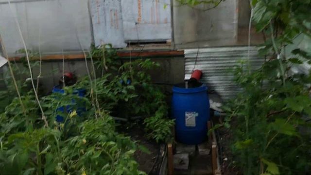 Тропические дожди в Белгороде. смотреть онлайн
