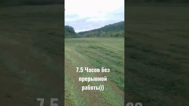 Сенокос чудо косилкой польского производства смотреть онлайн