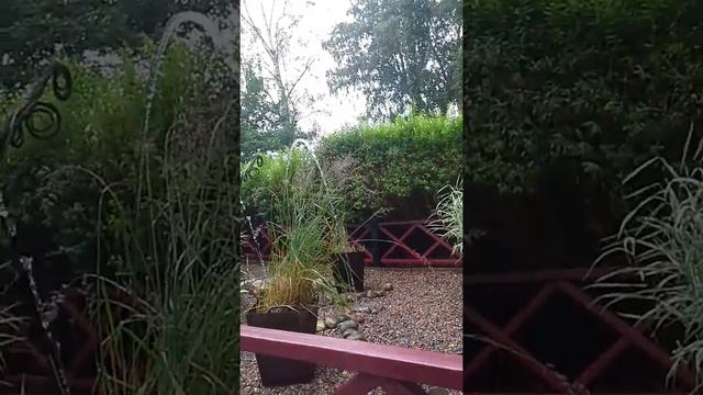 Змея фонтан смотреть онлайн