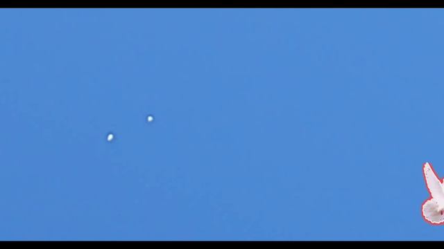 не пойму у всех голуби летают а у меня не хотят,☝️☝️☝️☝️☝️🤣🤣🤣👍👍👍