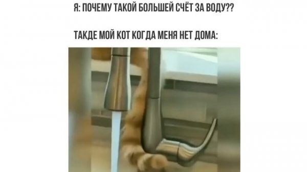 5D-мемы. Я РЖАЛ ГОД! ))) Приколы | Мемозг 1269