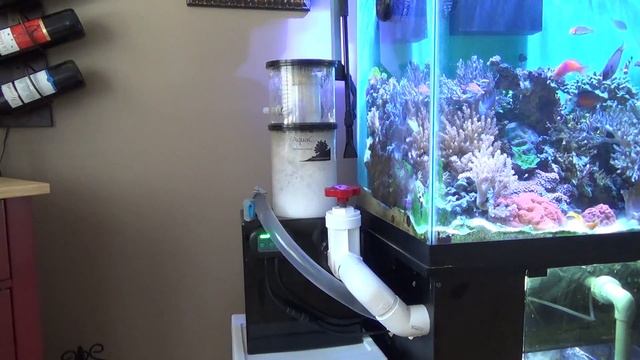 Aqua C EV240 Skimmer Review