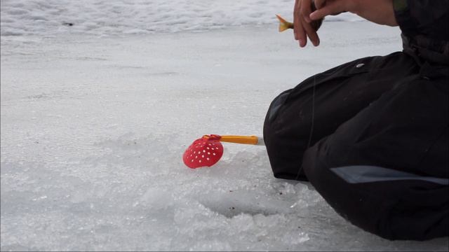 Рыбалка весной. ПОСЛЕДНИЙ ЛЕД БАЛУЕТ. ПЛОТВА КЛЮЕТ КАК В ПОСЛЕДНИЙ РАЗ смотреть онлайн