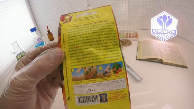 Тыква Китайский Фонарик. Аэлита смотреть онлайн