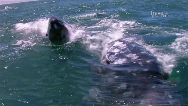 9 смотреть онлайн