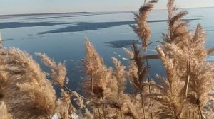 *Восстановление зрения*100%*Мощная исцеляющая Матрица П.П.Гаряев.