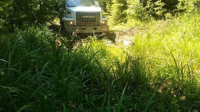 УралНекст на лесном бездорожье смотреть онлайн