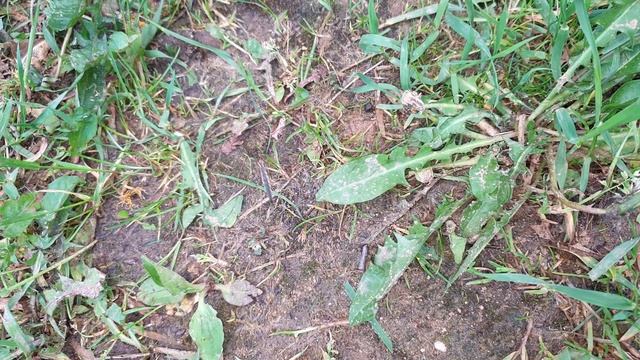 Природные Чудеса в 4K