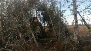 Рыбалка и охота на севере.