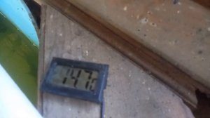 Разведение стерляди в домашнем УЗВ