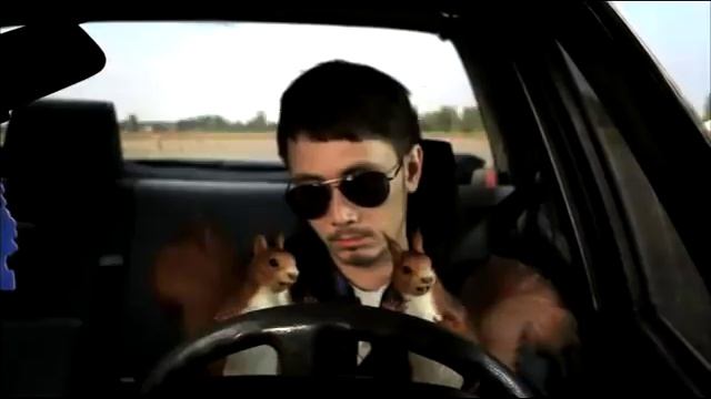 Nuts Trio - май фазер вос а сквирел ...Украинская версия смотреть онлайн