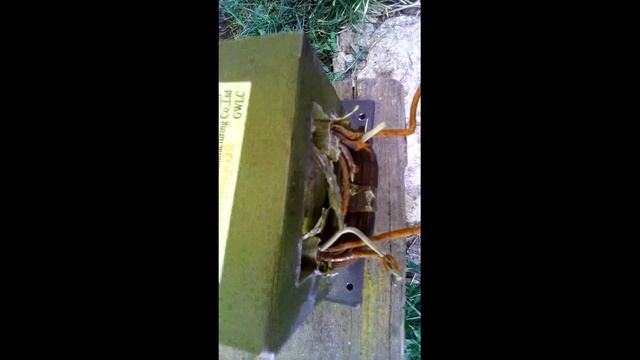 Трансформатор гудит, греется. Короткое замыкание первичной обмотки. Я сделал точечную сварку смотреть онлайн