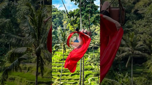 Бали полный чилл аут на райских островах #travel #2024 #путешествия смотреть онлайн