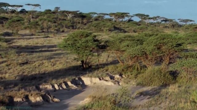 Discovery «Атлас Дискавери  Великая рифтовая долина» Познавательный, путешестви