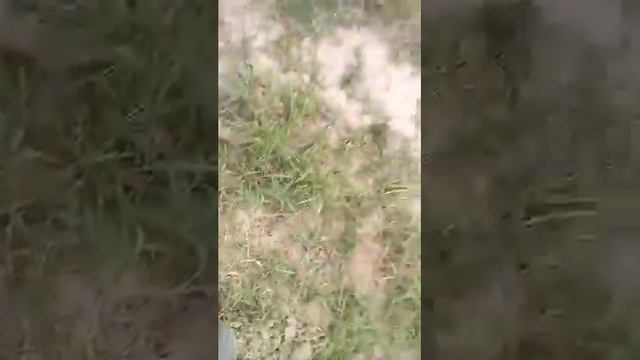 Носир Хусрав нохиясида пахта смотреть онлайн