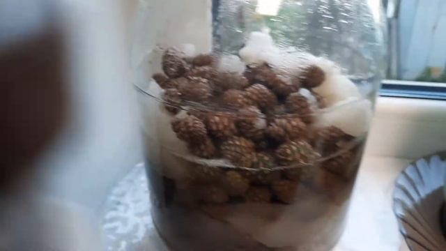 Живая Кухня