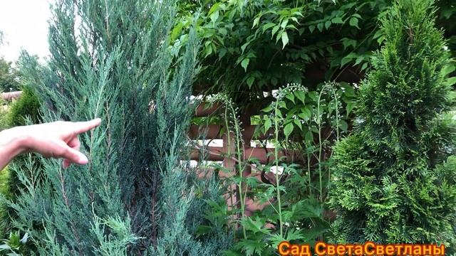 Наш прекрасный сад. Каким бывает. СОВЕТЫ. Нужны ли красивые цветники? Важно для КРАСОТЫ сада. ДАЧА смотреть онлайн