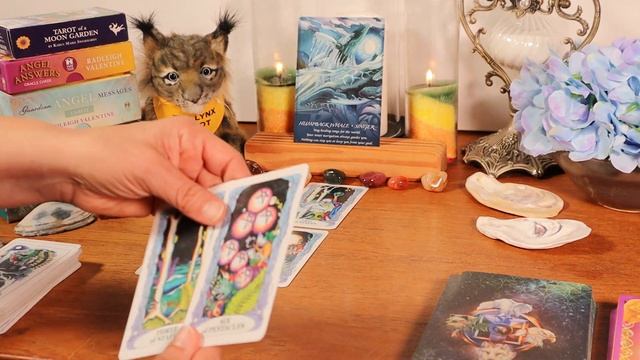 ♋CANCER⭐THE RIGHT PATH FOR YOU, CANCER!⭐WEEKLY TAROT & ORACLE AUGUST 22 - 28/NEXT 7 DAYS? смотреть онлайн