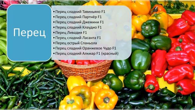 Список самых урожайных семян овощей для покупки на 2020 год смотреть онлайн
