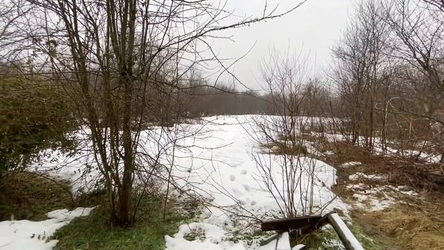 ночью ПАПА ускакал из дома на 800 км КУДА и ЗАЧЕМ