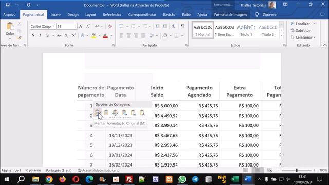 Como Copiar Planilha do Excel Para Word смотреть онлайн