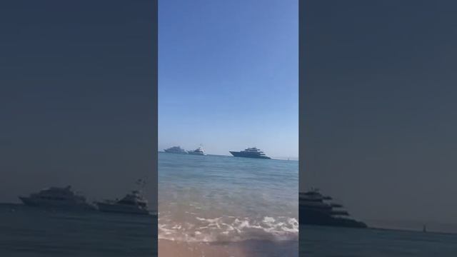 Акул мы не боимся. Утренний заплыв!! КРАСНОЕ МОРЕ смотреть онлайн