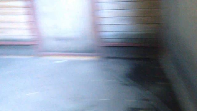 24.06.2017 Парк Сокольники