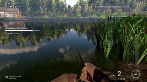 Рыбалка на лесни вила Fishing Planet