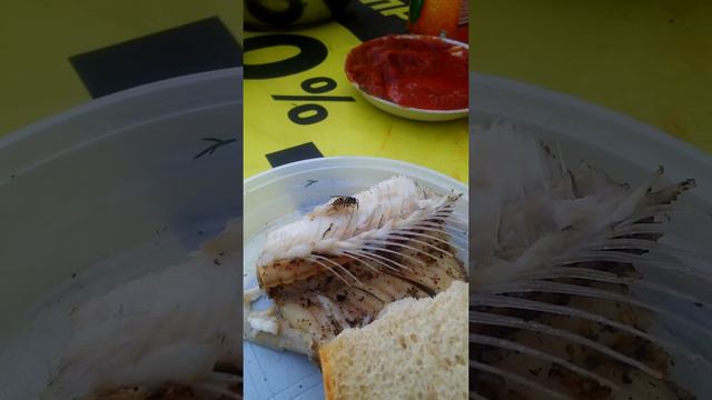 Жесть!!!!! Осы воруют рыбу