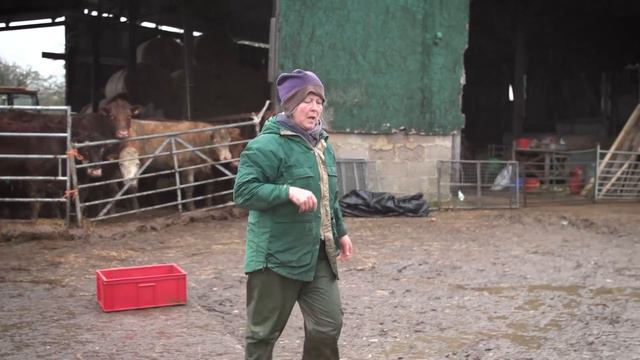 British Farming - 12 Months On A UK Farm: January смотреть онлайн